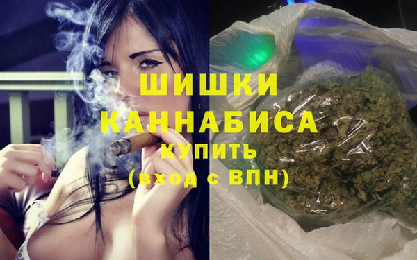 мдпв Кодинск