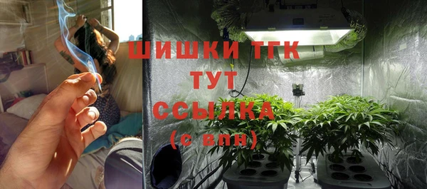 мдпв Кодинск