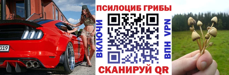 Галлюциногенные грибы прущие грибы  Купить закладки  Снежинск 